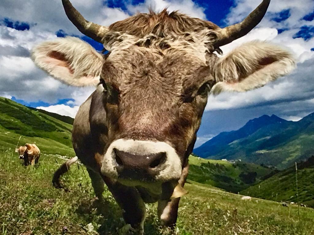 Arlberg Lodges ชตูเบิน อัม อาลแบร์ก ภายนอก รูปภาพ